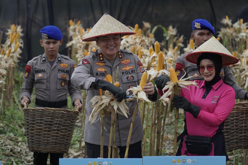 Panen Raya Tahap I Polda Riau Tembus 156,6 Ton Jagung